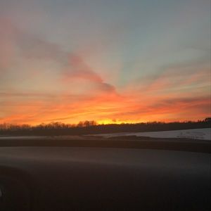 Meet your Posher, Alexandra